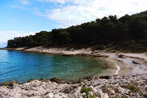 Apartments by the sea Cove Donja Kruscica - Donja Krusica, Solta - 11146