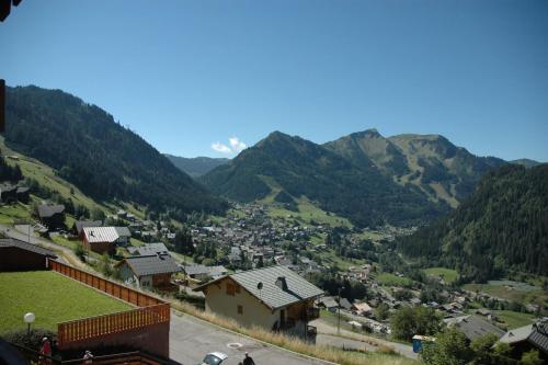 L'Alexandra - image 12