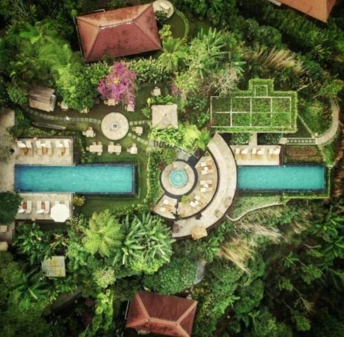 Restaurant, ETALAUSER Jungle Gate EcoResort Bukit Lawang in Bukit Lawang