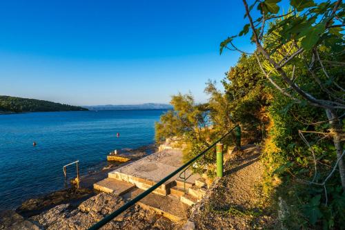 Apartments by the sea Necujam, Solta - 16729