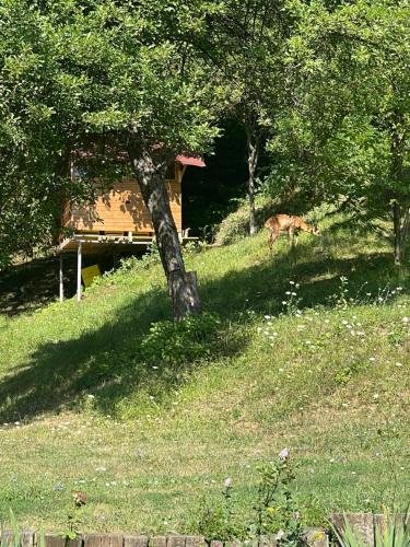 Sun House, Trjawna (Foto 10)