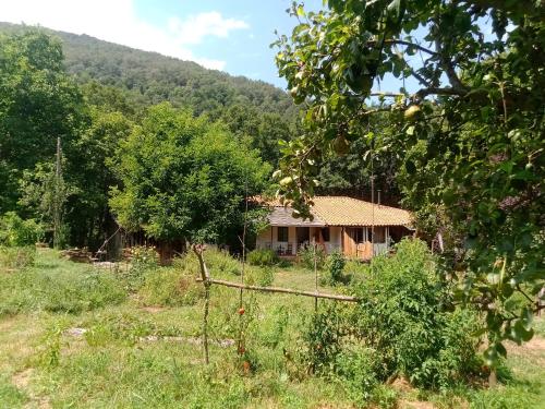 Charming cottage in the heart of the Ribera sacra - Castro Caldelas