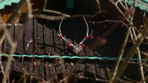 Ferienwohnung Wagnerhaus - Apartment - Bad Reichenhall