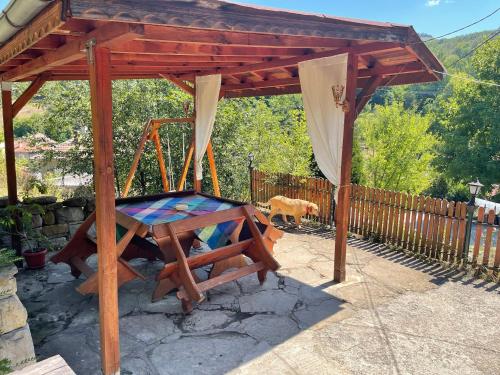 Sun House, Trjawna (Foto 5)