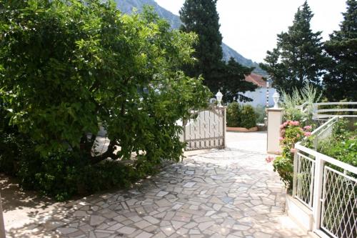 Apartments with a parking space Gradac Makarska - 5198 - image 7