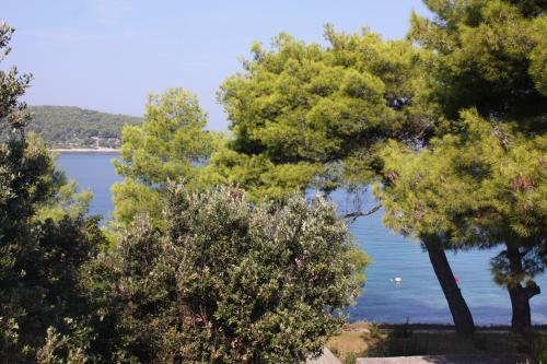 Apartments by the sea Necujam Solta - 5186 - image 12