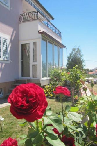 Apartments and rooms by the sea Barbat, Rab - 5068