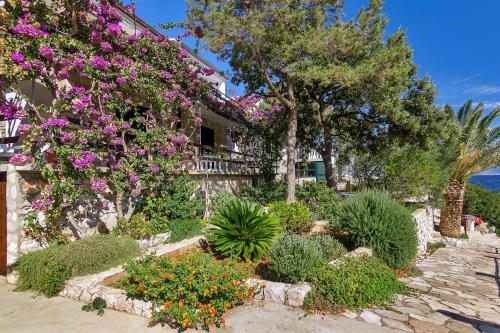 Viesnīcas āriene, Apartments by the sea Cove Pokrivenik, Hvar - 5223 in Zastražišće