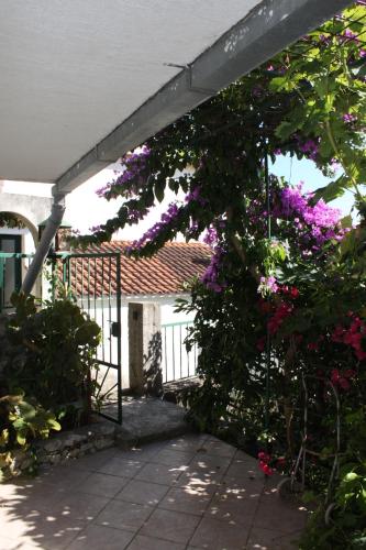 Apartments by the sea Podgora Makarska - 6788 - image 4