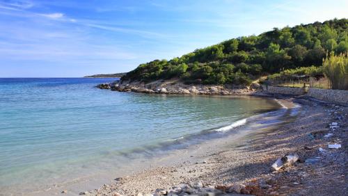 Apartments by the sea Milna, Vis - 8946