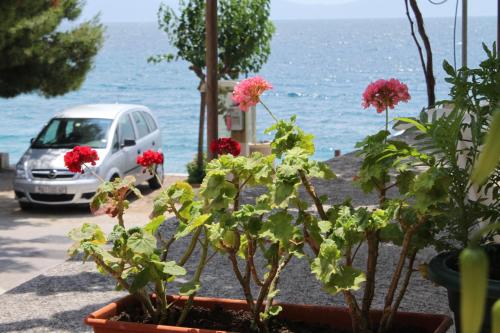 Apartments by the sea Podgora Makarska - 6725 - image 13