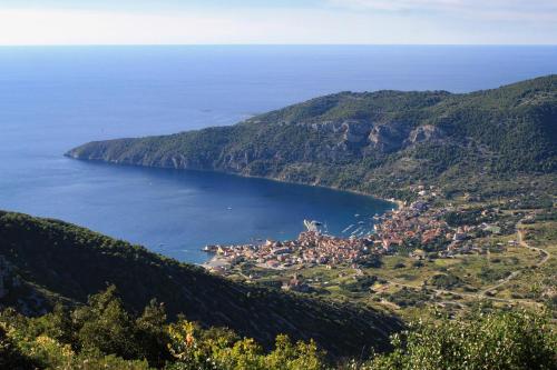 Apartments by the sea Komiza, Vis - 8860