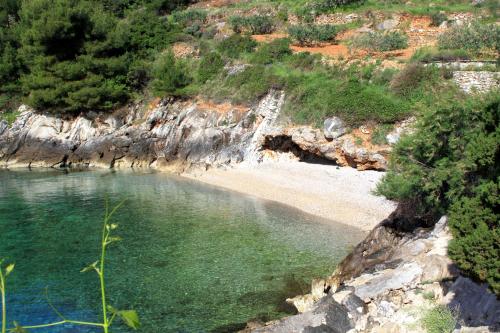 Secluded fisherman's cottage Cove Tvrdni Dolac Hvar - 13018 - image 2