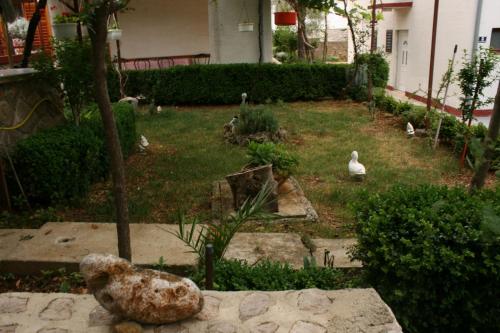 Apartments by the sea Starigrad Paklenica - 6579 - image 7