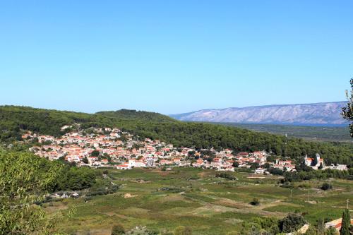 Holiday house with a parking space Svirce, Hvar - 17682