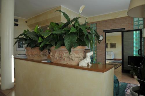 Iekārtas, Hotel Parco in Castelvetro Piacentino