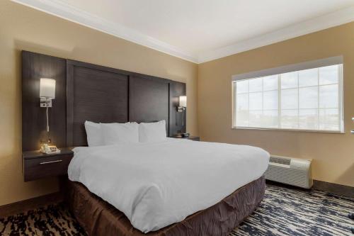 Comfort Suites Kingwood Houston North - image 3