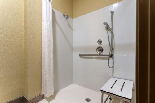 Comfort Suites Kingwood Houston North - main image