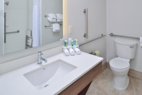 Holiday Inn Express & Suites Farmington Hills - Detroit by IHG