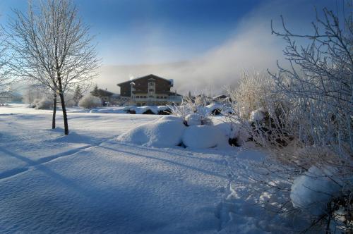 Hotel Zum Jungen Römer - image 3