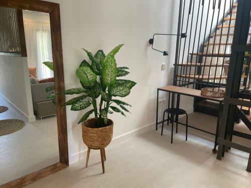 AZUL PORTMÁN – DESIGNED FOR GROUP AZUL PORTMÁN – DESIGNED FOR GROUP