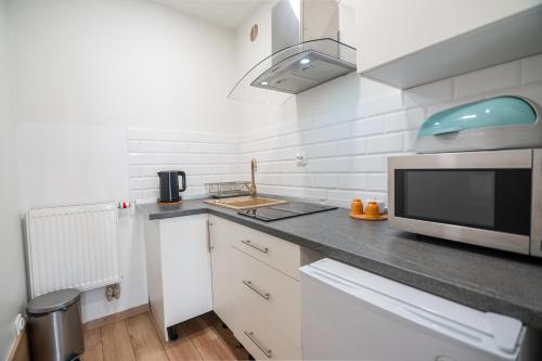 Apart Invest Sowa A i B, Szklarska Poręba (foto 6)