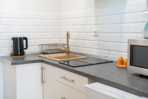 Apart Invest Sowa A i B, Szklarska Poręba (foto 9)