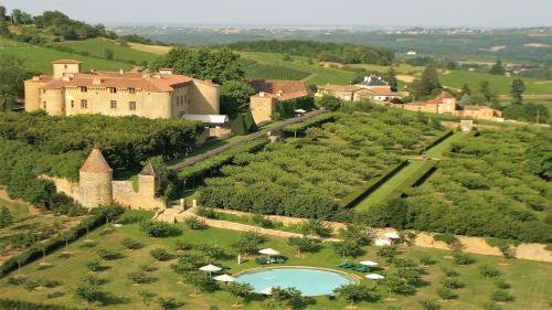 Навколишнє середовище, Songes de vigne in Баньольс
