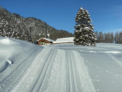 Chalet Tschengla