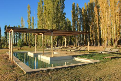 Úszómedence, Posada Paso de los Patos in Barreal