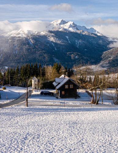 Tom's Jägerlodge - image 5