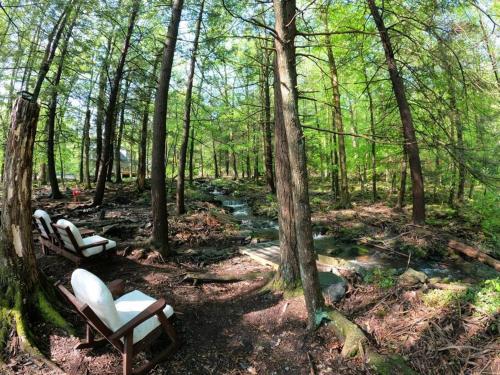 New! Streamside house w/waterfall, lake/beach/pool