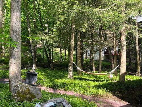 New! Streamside house w/waterfall, lake/beach/pool