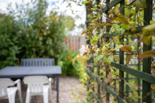 花園, The Auld Sweetie Shop in 班克福