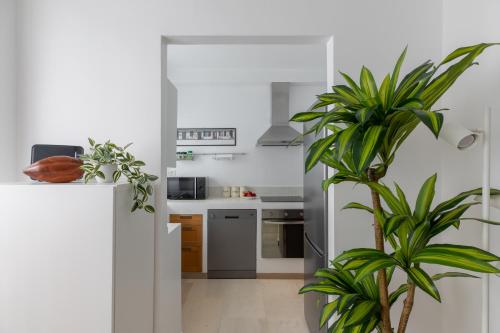 iFlat Cozy Apartment near Saint Peter n° 2, Rom (Foto 4)