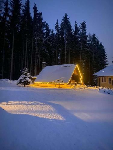 Berghütte Waldheimat