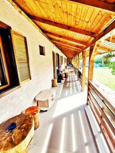 Casa Borcean 2 in Saska Montana