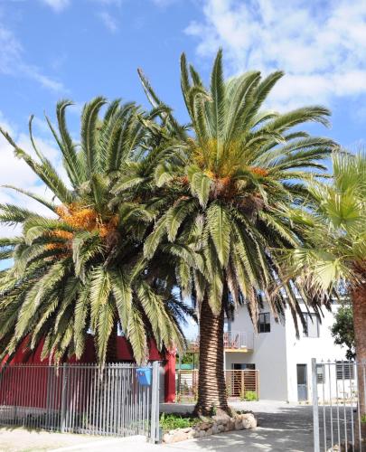 Two Palm House - Vermont Hermanus