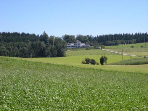 Gut Ziegersberg - Accommodation - Zöbern