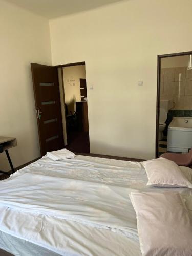 Pensiunea Nero - image 4