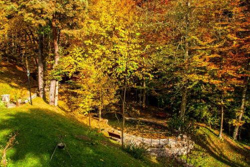 博弈玛旅馆 博弈玛旅馆