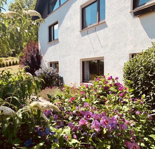 Bejárat, Ferienwohnung „Hygge“ in Liebenburg in Liebenburg