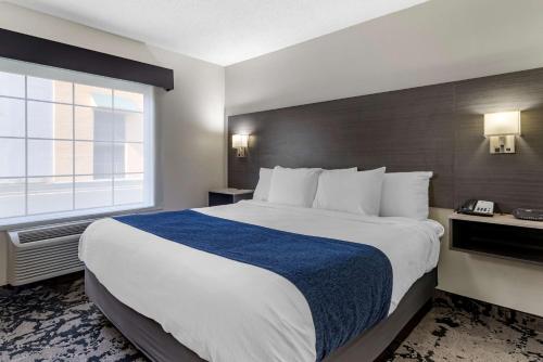 客房, Best Western Allatoona Inn & Suites in 卡特爾斯維爾 (GA)