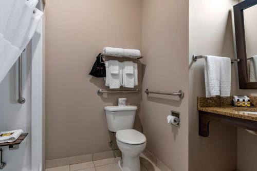 King Room with Roll-In Shower - Disability Access