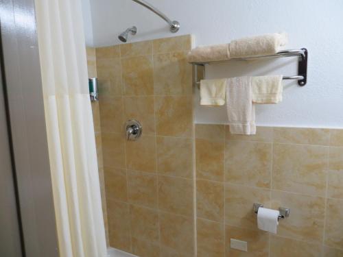 Budget Inn Lake Wales - 샤워실