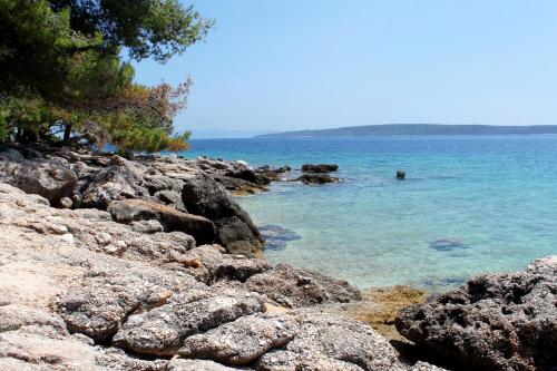 Apartments and rooms by the sea Zavala, Hvar - 8784