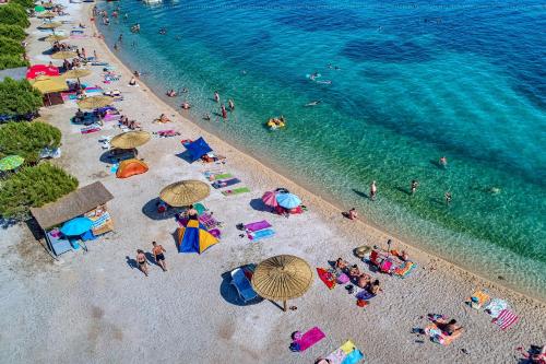  Apartments with a parking space Bibinje, Zadar - 6204 in Bibinje