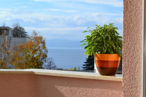 Double Room with Balcony and Lake View