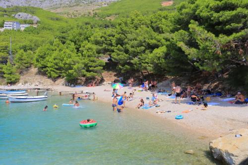  Family friendly apartments with a swimming pool Lokva Rogoznica, Omis - 16429 in Lokva Rogoznica