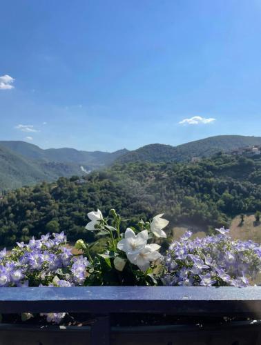 Casa sulla Cascata delle Marmore - con vista - Torre Orsina